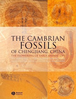 The Cambrian Fossils of Chengjiang, China (eBook, PDF) - Xianguag, Hou; Aldridge, Richard J.; Bergstrom, Jan; Siveter, David J.; Siveter, Derek J.; Feng, Xiang-Hong