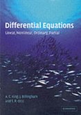 Differential Equations (eBook, PDF)