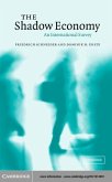 Shadow Economy (eBook, PDF)