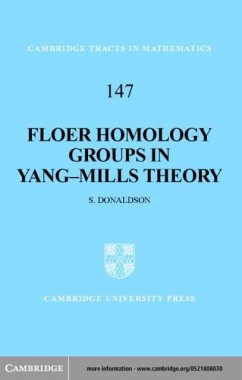 Cover Floer Homology Groups in Yang-Mills Theory (eBook, PDF)