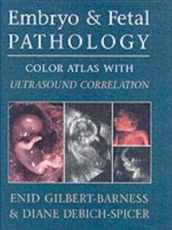 Embryo and Fetal Pathology (eBook, PDF) - Gilbert-Barness, Enid