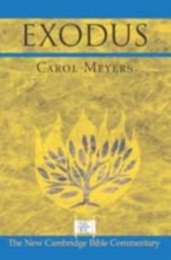 Exodus (eBook, PDF) - Meyers, Carol
