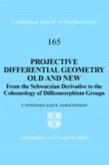 Projective Differential Geometry Old and New (eBook, PDF)