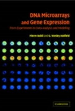 DNA Microarrays and Gene Expression (eBook, PDF) - Baldi, Pierre