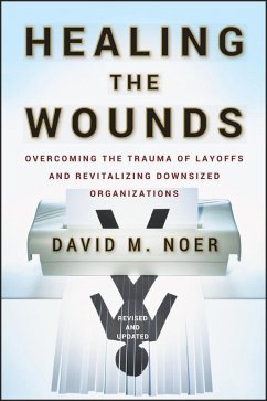 Healing the Wounds (eBook, ePUB) - Noer, David M.