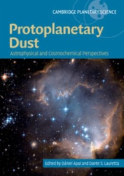 Protoplanetary Dust (eBook, PDF)