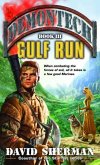 Demontech: Gulf Run (eBook, ePUB)