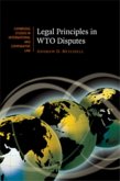 Legal Principles in WTO Disputes (eBook, PDF)