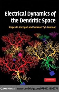 Electrical Dynamics of the Dendritic Space (eBook, PDF) - Korogod, Sergiy Mikhailovich