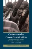 Culture under Cross-Examination (eBook, PDF)