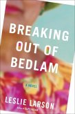 Breaking Out of Bedlam (eBook, ePUB)