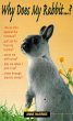 Why Does My Rabbit...? (eBook, ePUB) - Bild 1