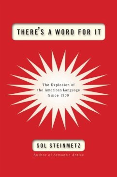 There's a Word for It (eBook, ePUB) - Steinmetz, Sol