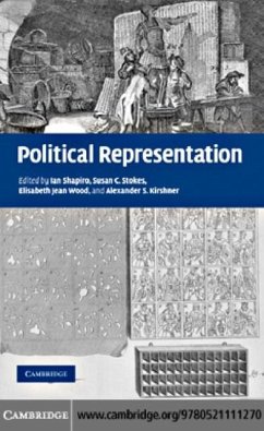 Political Representation (eBook, PDF)