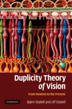Duplicity Theory of Vision (eBook, PDF) - Stabell, Bjorn