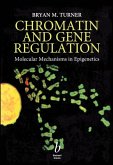 Chromatin and Gene Regulation (eBook, PDF)