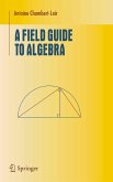 A Field Guide to Algebra (eBook, PDF)