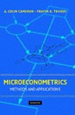 Microeconometrics (eBook, PDF)