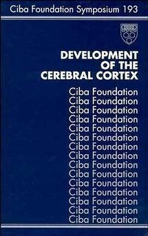 Development of the Cerebral Cortex (eBook, PDF)