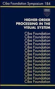 Cover Higher-Order Processing in the Visual System (eBook, PDF)