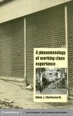 Phenomenology of Working-Class Experience (eBook, PDF)