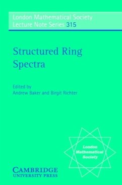Structured Ring Spectra (eBook, PDF)