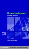 Underdevelopment (eBook, PDF)