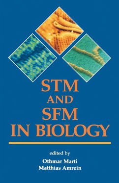 STM and SFM in Biology (eBook, PDF)