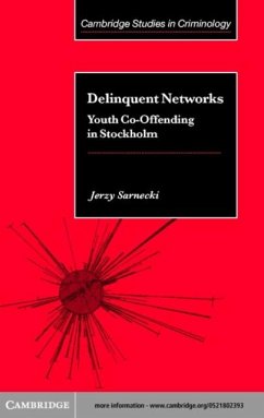 Delinquent Networks (eBook, PDF) - Sarnecki, Jerzy