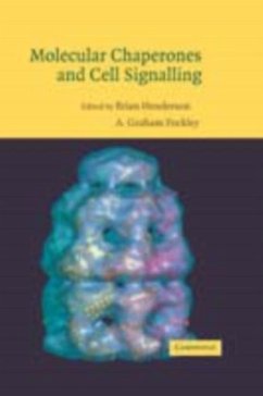 Molecular Chaperones and Cell Signalling (eBook, PDF)