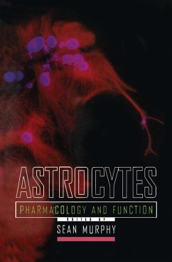 Cover Astrocytes (eBook, PDF)