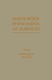 Many - Body Phenomena At Surfaces (eBook, PDF)