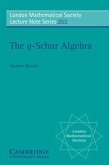 q-Schur Algebra (eBook, PDF)