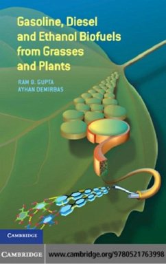 Cover Gasoline, Diesel, and Ethanol Biofuels from Grasses and Plants (eBook, PDF)