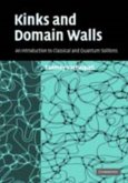 Kinks and Domain Walls (eBook, PDF)