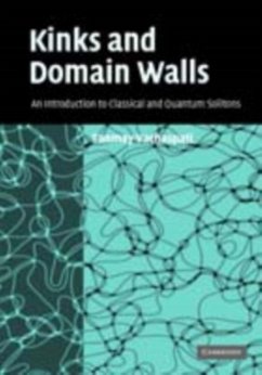 Kinks and Domain Walls (eBook, PDF) - Vachaspati, Tanmay