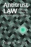 Antitrust Law (eBook, PDF)