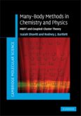 Many-Body Methods in Chemistry and Physics (eBook, PDF)