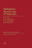 Multiphoton Spectroscopy of Molecules (eBook, PDF)