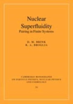 Nuclear Superfluidity (eBook, PDF) - Brink, David M.