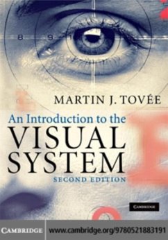 Cover Introduction to the Visual System (eBook, PDF)