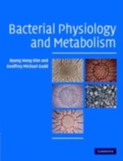 Bacterial Physiology and Metabolism (eBook, PDF) - Kim, Byung Hong