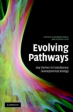 Evolving Pathways (eBook, PDF)