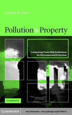 Cover Pollution and Property (eBook, PDF)