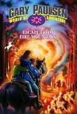Escape from Fire Mountain (eBook, ePUB)