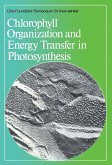 Chlorophyll Organization and Energy Transfer in Photosynthesis (eBook, PDF)