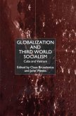 Globalization and Third-World Socialism (eBook, PDF)