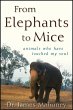 From Elephants to Mice (eBook, ePUB) - Bild 1