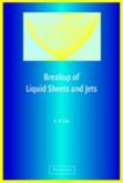 Breakup of Liquid Sheets and Jets (eBook, PDF)