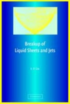 Breakup of Liquid Sheets and Jets (eBook, PDF) - Lin, S. P.